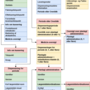 dispensingcard.drawio.png