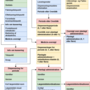 dispensingcard2.drawio.png